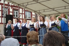 Fest der Nationen 2010